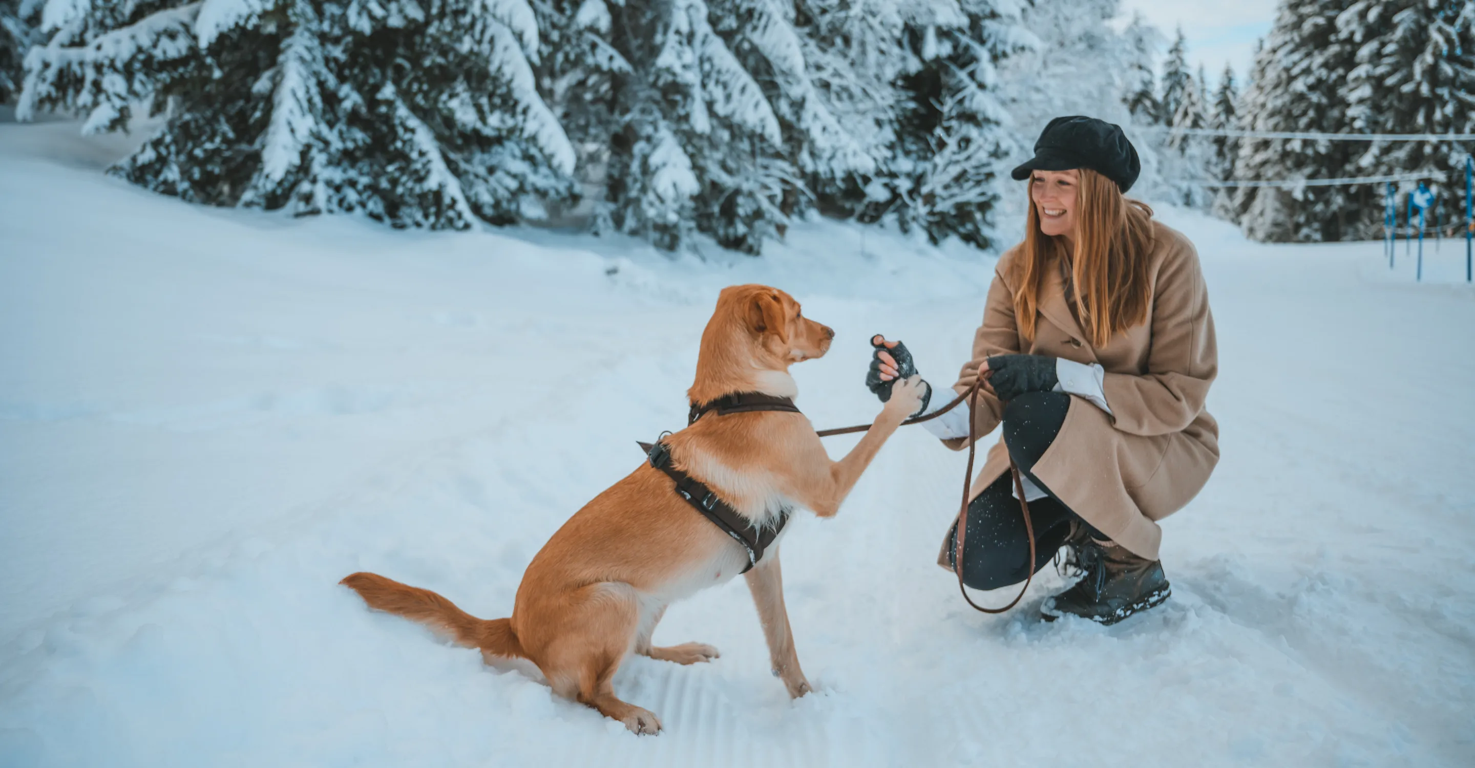 Frau in Winterkleidung interagiert mit einem Hund in einer verschneiten Landschaft