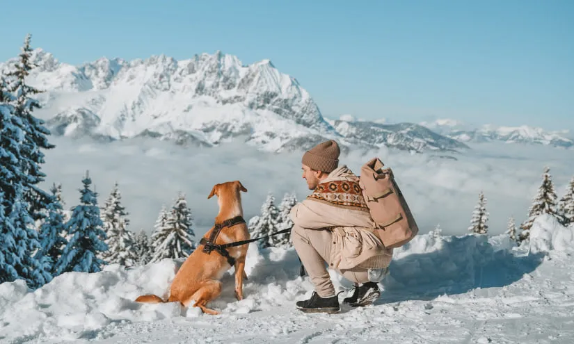 Person mit Hund im Schnee vor Berglandschaft